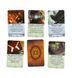 Жах Аркгема. Третє видання: Нічний морок (Ужас Аркхема 3 Во мраке ночи/Arkham Horror: Dead of Night) 99999066 фото 5