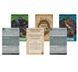 Жах Аркгема. Третє видання: Нічний морок (Ужас Аркхема 3 Во мраке ночи/Arkham Horror: Dead of Night) 99999066 фото 3