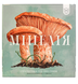 Міцелія (Mycelia) 99998806 фото 1